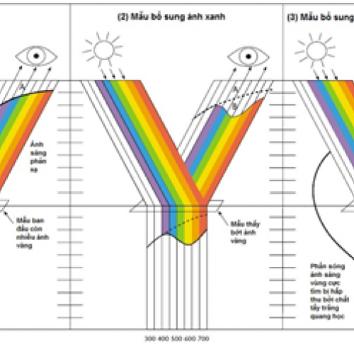 Top 8 chất tẩy trắng huỳnh quang tốt nhất trong ngành nhựa